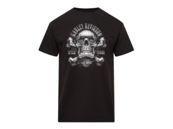 Harley-Davidson Herren Dealer T-Shirt " Catalyst" 40294794