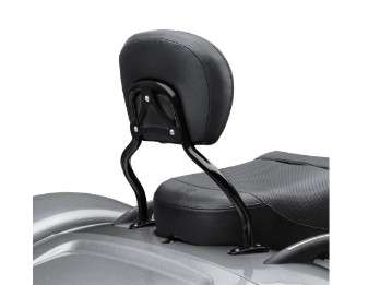 Quick-Release Sissy Bar Upright 52300415