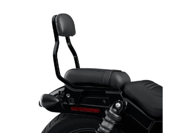 HoldFast Sissy Bar Low Height 52300702