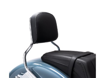 Dossier passager de taille moyenne 52300733