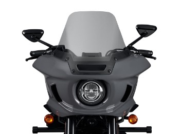 Light Smoke 10" Windshield 57400505
