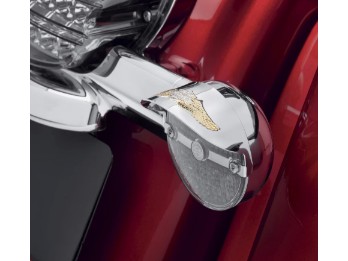 Eagle Wing Blinkerschirm flaches Glas 67735-91T