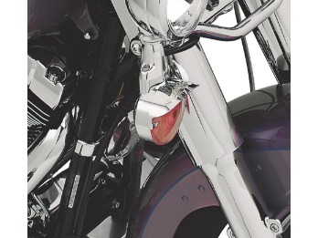 Eagle Wing Blinkerschirm flaches Glas 67738-91T