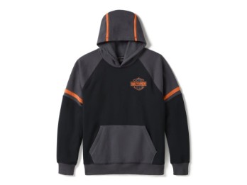 Hoodie "Iron Pride Colorblock" 96363-25VM