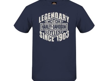 Harley-Davidson "Grunge H-D" Men´s Dealer Shirt R004863