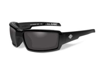 Harley-Davidson Sunglasses Biker Glasses Wiley X "HD JUMBO PPZ" Motorcycle Glasses HDJUM04