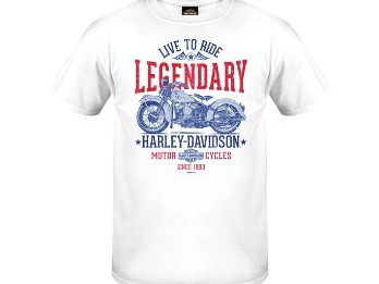 Harley-Davidson "Road Iron" Men´s Dealer Shirt R004797