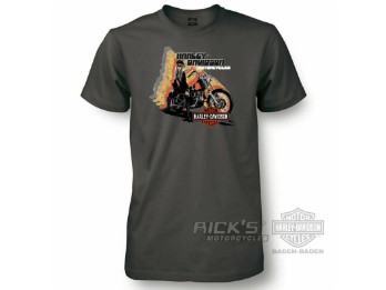 Ricks Harley-Davidson Baden-Baden Dealer-Shirt 30294648 Dunkelgrau