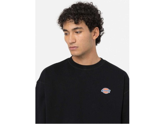 Dickies-DK0A4YLZBLK1-7