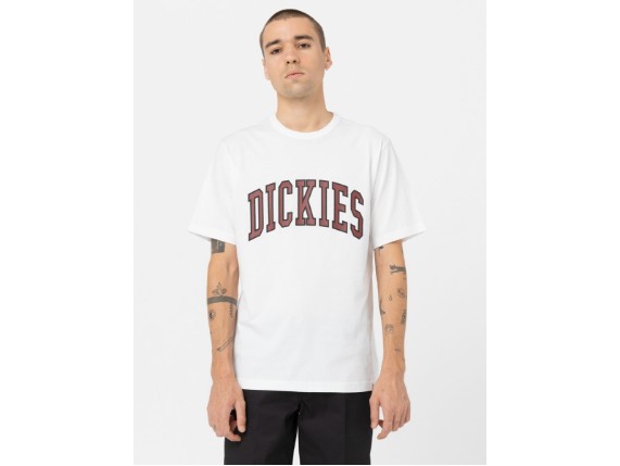 DK0A4X9FG401-1_1_6