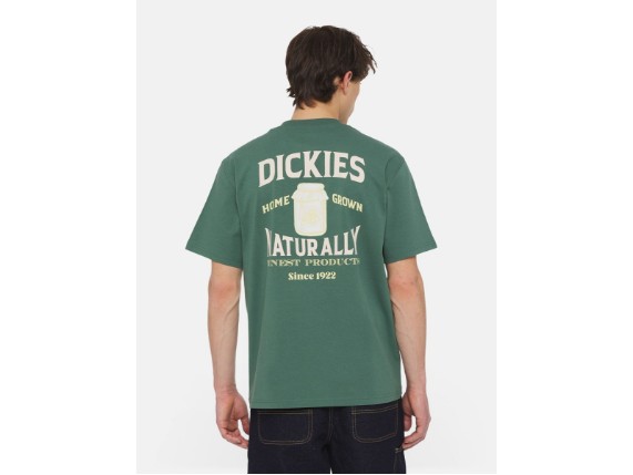 DK0A4YRMH151-1_1_6