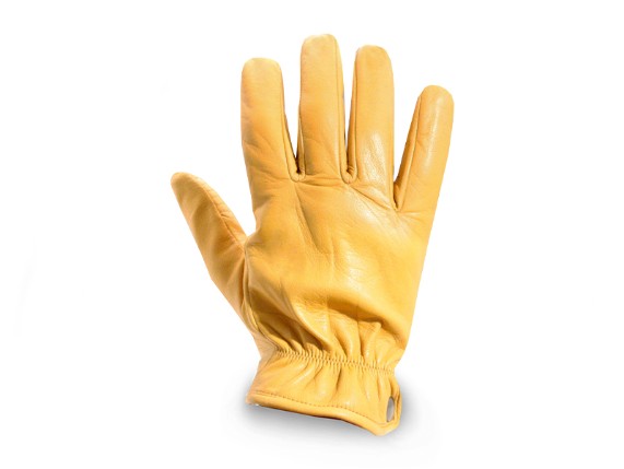 DMD-Shield-yellow-1