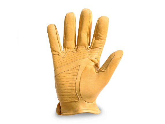 DMD-Shield-yellow-3