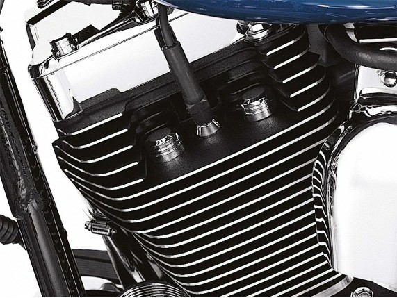 Harley-Davidson-CLASSIC-CHROME-Bolzenabdeckung-Zylinderkopf-TwinCam-43822-01-272139036075-2