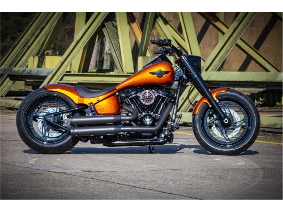 Harley-Davidson Fat Boy 300 Custom Ricks-008
