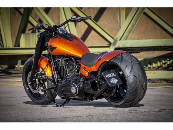 Harley-Davidson Fat Boy 300 Custom Ricks-031