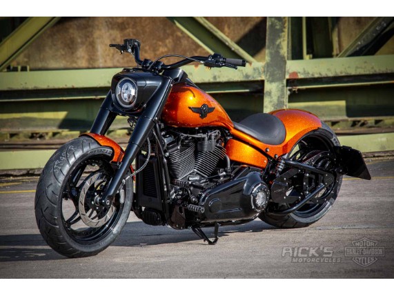 Harley-Davidson Fat Boy 300 Custom Ricks-059