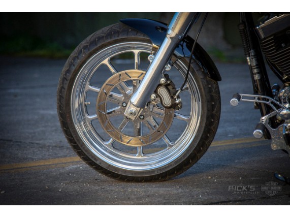 Harley-Davidson-fat_boy-ricks-300_56_von_59