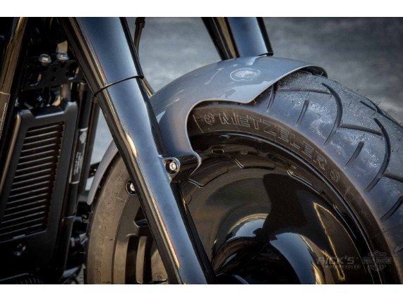 Harley-Davidson_Fat_Boy-Staccato_Ricks-002