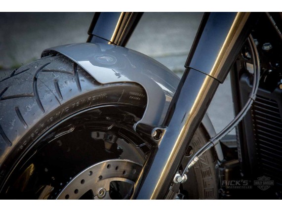 Harley-Davidson_Fat_Boy-Staccato_Ricks-038