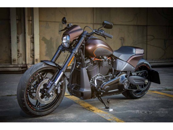Harley-Davidson_FXDR_Custom-014