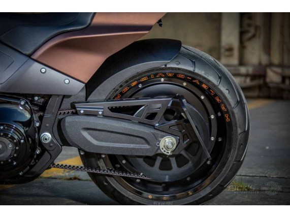Harley-Davidson_FXDR_Custom-021