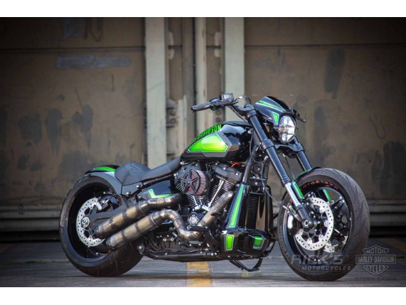 Harley-Davidson FXDR Custom Ricks-001
