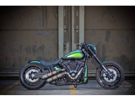Harley-Davidson-FXDR-Custom-Ricks-018