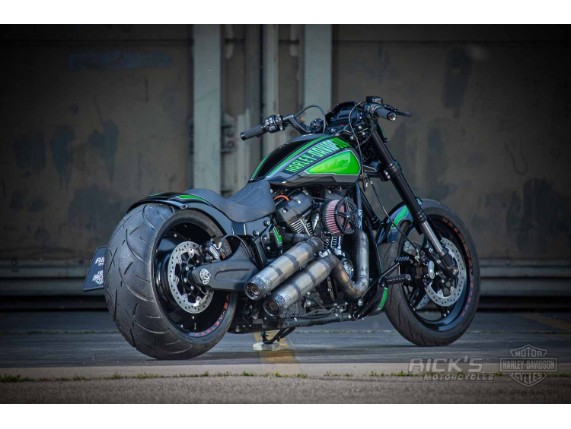 Harley-Davidson-FXDR-Custom-Ricks-030