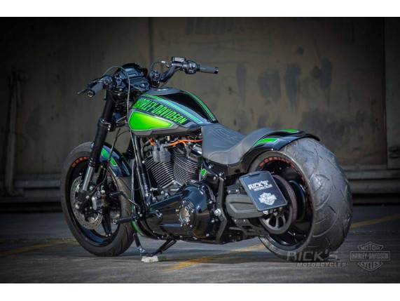 Harley-Davidson-FXDR-Custom-Ricks-045