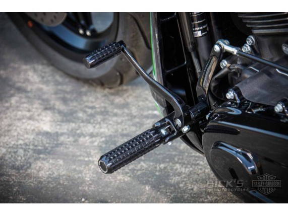 Harley-Davidson FXDR Custom Ricks-046