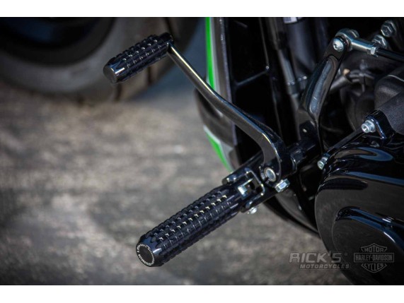 Harley-Davidson FXDR Custom Ricks-050