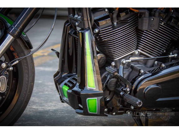 Harley-Davidson FXDR Custom Ricks-068