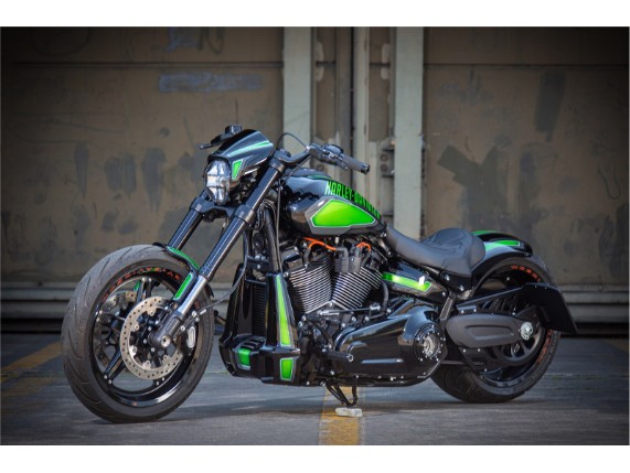 Harley-Davidson FXDR Custom Ricks-071