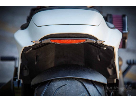 Harley_Davidson-FXDR-Custom-Ricks-079