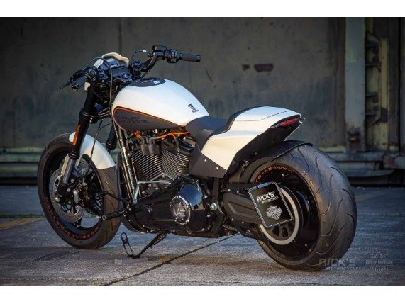 Harley_Davidson-FXDR-Custom-Ricks-102