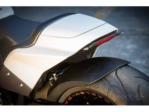 Harley_Davidson-FXDR-Custom-Ricks-109