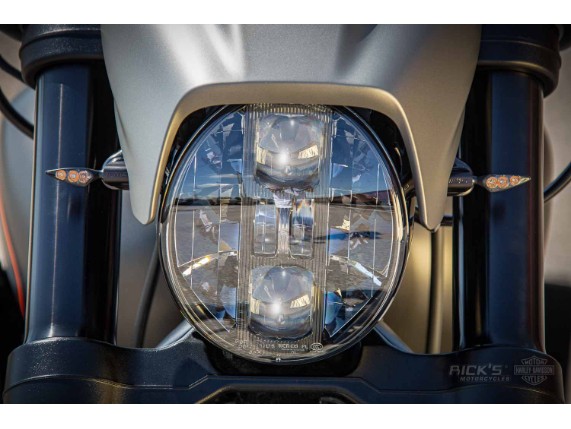 harley_davidson-fxdr-grey-custom-ricks-013