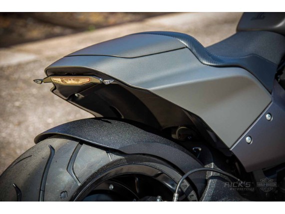 Harley_Davidson-FXDR-grey-Custom-Ricks-020