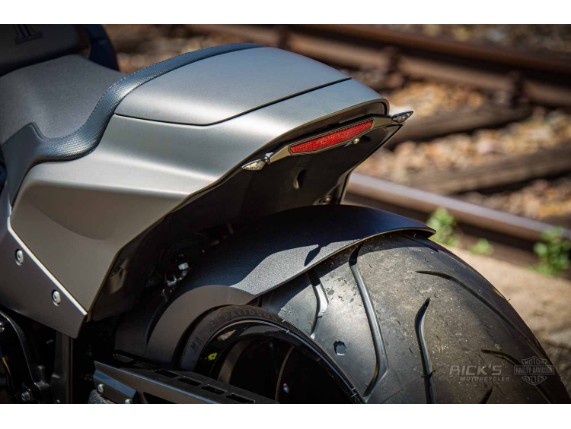 Harley_Davidson-FXDR-grey-Custom-Ricks-033