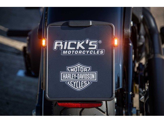 Harley-Davidson_-_Lowrider_S-023