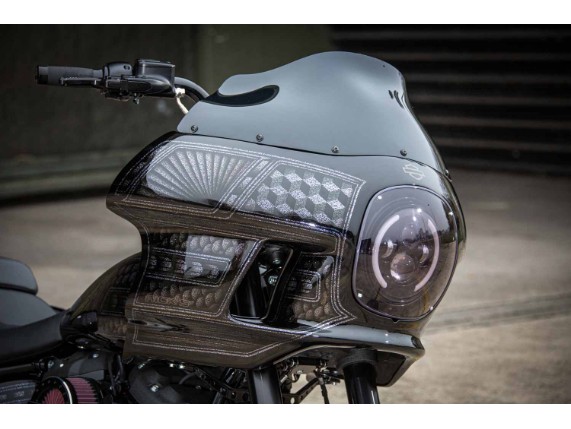 Harley-davidson-Lowrider-S-Clubstyle-FXRP-Ricks-089-Kopie