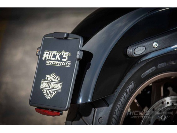 Harley-Davidson-Lowrider-S-Clubstyle-Ricks-119