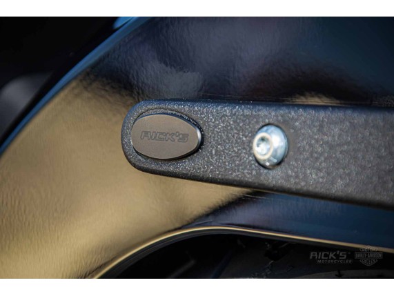 Harley-Davidson_-_Lowrider_S-Milwaukee-Eight-Sons_of_Anachie-Ricks-012