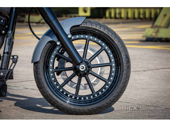 Harley-Davidson Softail Slim 300 Custom Ricks-005