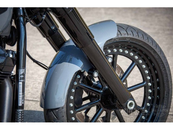 Harley-Davidson Softail Slim 300 Custom Ricks-009