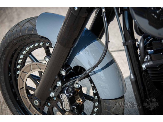 Harley-Davidson-Softail-Slim-300-Custom-Ricks-028-1
