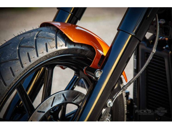 Harley-Davidson_-_Softail_Slim-Milwaukee_8-300Kit-025