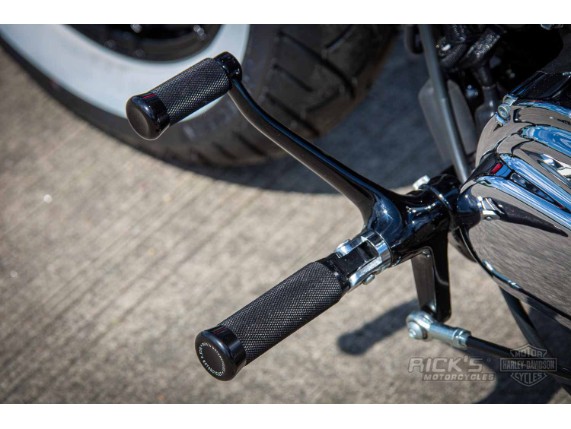 Harley-Davidson Sportster Bobber Custom Ricks-022