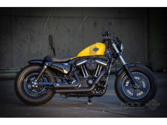 harley-Davidson_Sportster_breitreifen-024